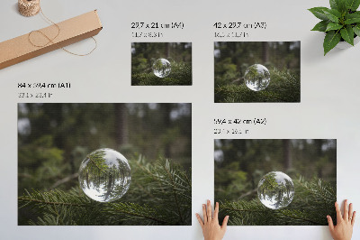 Stampa su tela moderna Una sfera di cristallo sullo sfondo di un ramo di pino.