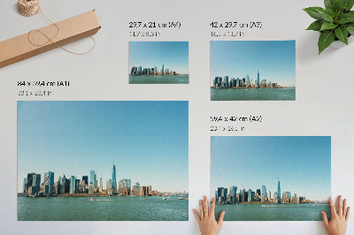 Poster Grattacieli moderni, cielo azzurro, grande acqua