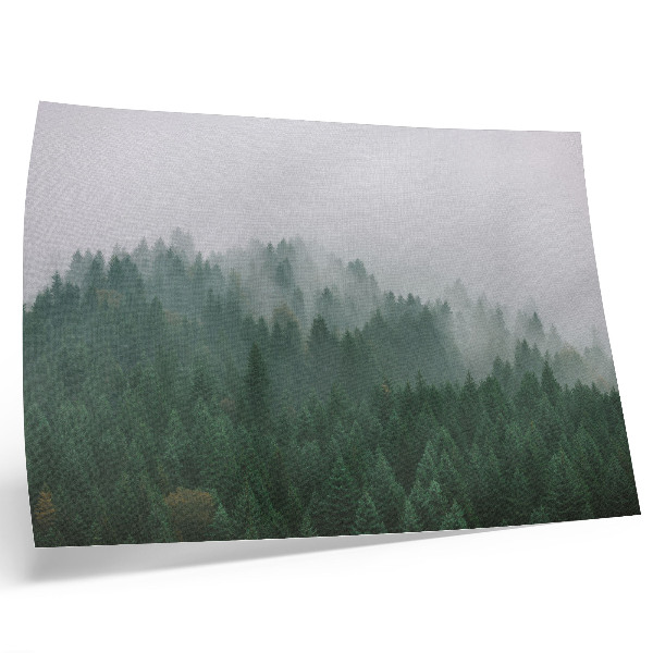 Stampa su tela moderna Un panorama nebbioso della foresta, ricco di verde e grigio
