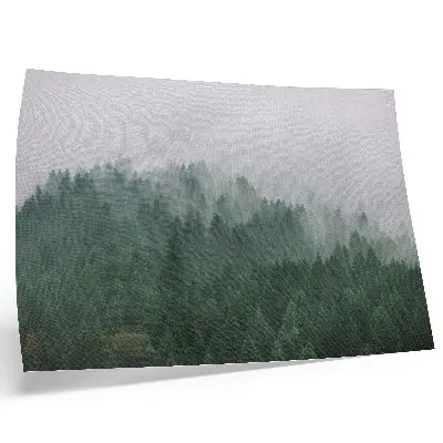 Stampa su tela moderna panorama nebbioso della foresta nei toni del verde e grigio