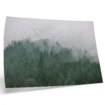 Stampa su tela moderna Un panorama nebbioso della foresta, ricco di verde e grigio