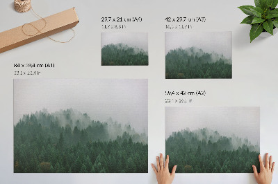 Stampa su tela moderna Un panorama nebbioso della foresta, ricco di verde e grigio