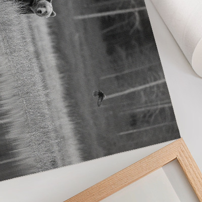 Poster Orso vicino all'acqua, atmosfera in bianco e nero