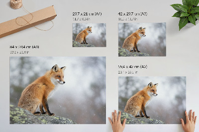 Poster murale di alta qualità Una volpe nel paesaggio invernale, la dolce pace della natura
