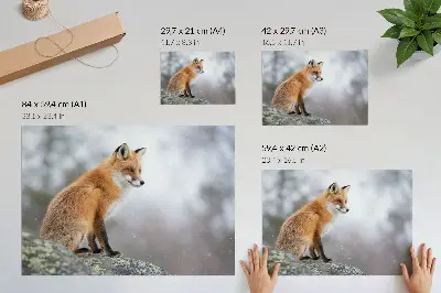 Poster murale di alta qualità volpe nel paesaggio invernale, la dolce pace della natura