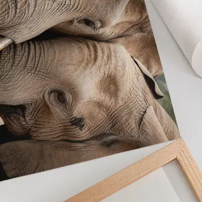 Poster murale di alta qualità con due grandi elefanti vicini in calde ombre