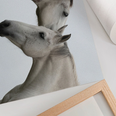 Poster Due cavalli in armonia di grigio e bianco
