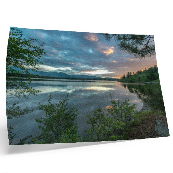 Poster murale di alta qualità Riflessi del lago cielo verde alberi calma
