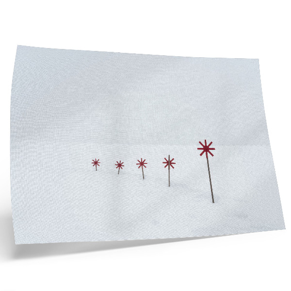 Stampa su tela moderna Stelle invernali minimaliste bianche e rosse