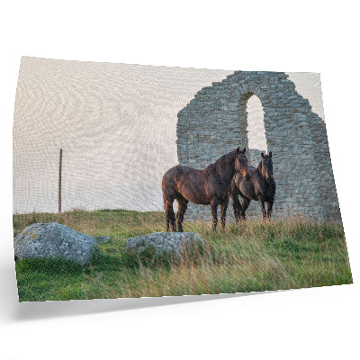 Poster dai colori saturi Il contrasto tra rovine e cavalli nel verde