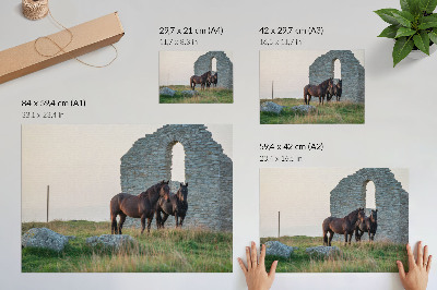 Poster dai colori saturi Il contrasto tra rovine e cavalli nel verde