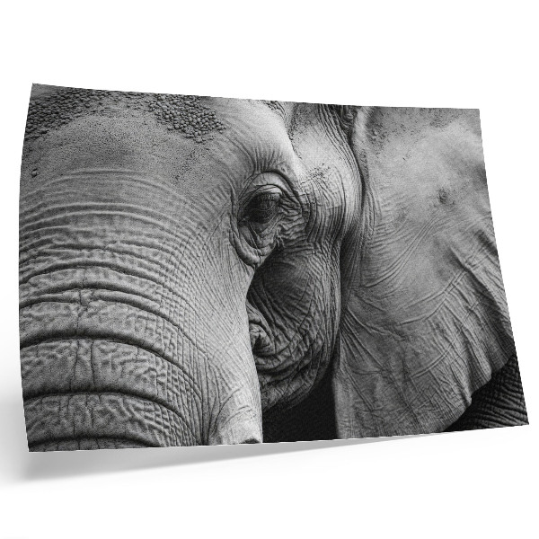 Poster murale di alta qualità Dettagli monocromatici a forma di elefante, minimalismo ed eleganza.