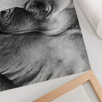 Poster murale di alta qualità Dettagli monocromatici a forma di elefante, minimalismo ed eleganza.