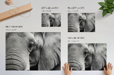 Poster murale di alta qualità Dettagli monocromatici a forma di elefante, minimalismo ed eleganza.