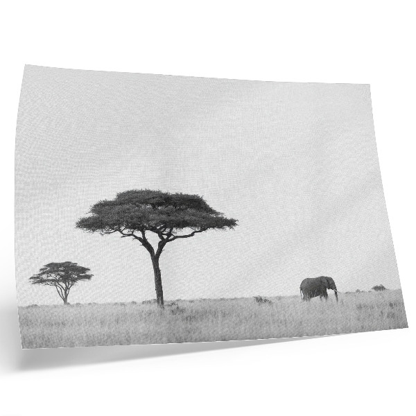 Stampa su tela moderna Elefante e acacie nella savana in una gamma delicata