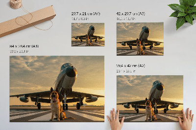 Poster Cane e aereo al tramonto: uno spettacolo unico.