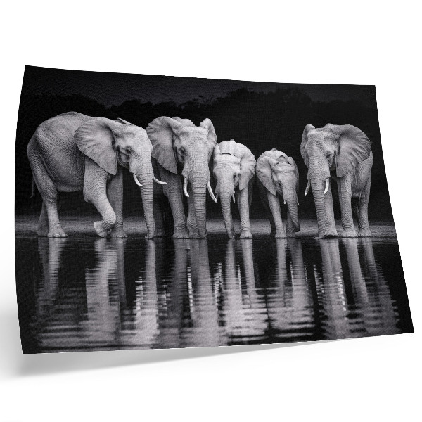 Poster dai colori saturi Elefanti in riva all'acqua, pace, armonia e riflessione.