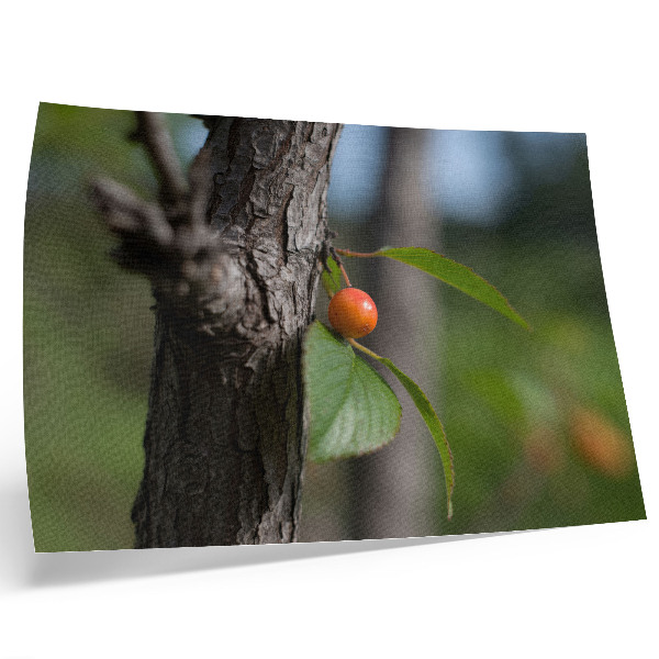 Poster Frutti arancioni, foglie verdi, corteccia marrone