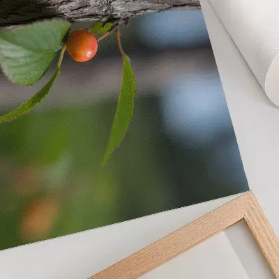 Poster frutti arancioni con foglie verdi e corteccia marrone