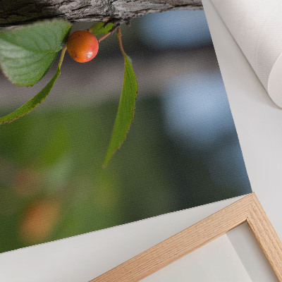 Poster Frutti arancioni, foglie verdi, corteccia marrone