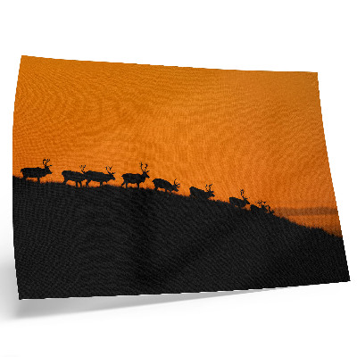 Poster Sagome di cervi su una collina con sfondo arancione