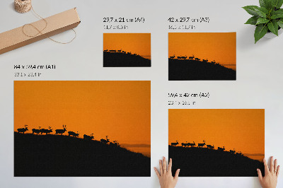 Poster Sagome di cervi su una collina con sfondo arancione