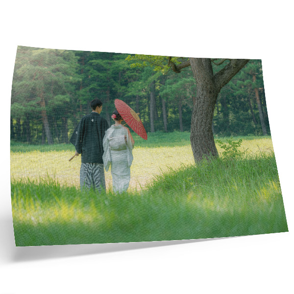 Poster dai colori saturi abiti tradizionali ombrello prato verde alberi