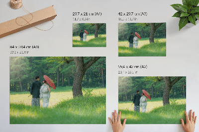 Poster dai colori saturi abiti tradizionali ombrello prato verde alberi