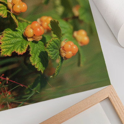 Stampa su tela moderna Foglie verdi, frutti arancioni, fascino naturale