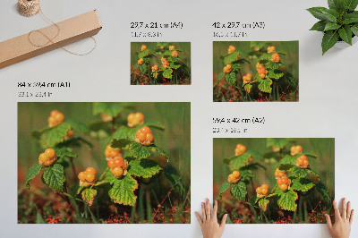 Stampa su tela moderna Foglie verdi, frutti arancioni, fascino naturale