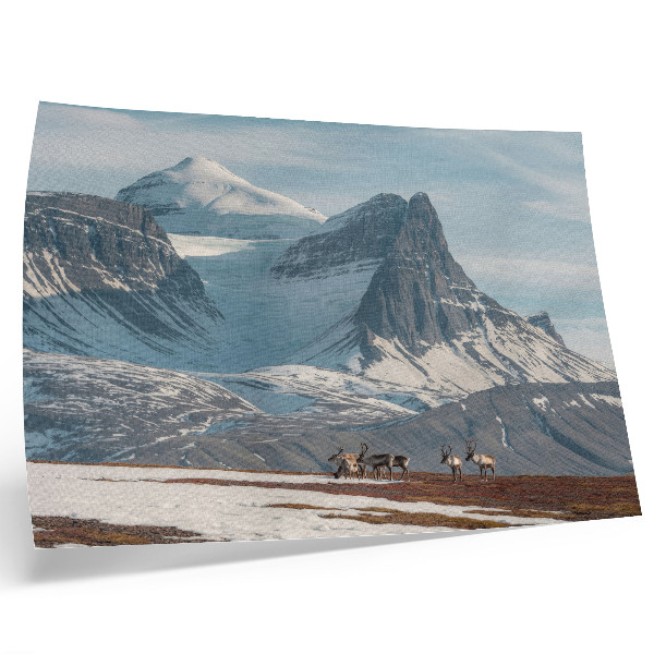 Poster dai colori saturi Montagne pittoresche, renne, pace, paesaggio invernale