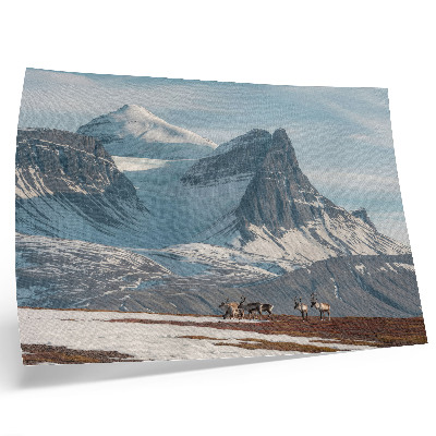 Poster dai colori saturi Montagne pittoresche, renne, pace, paesaggio invernale