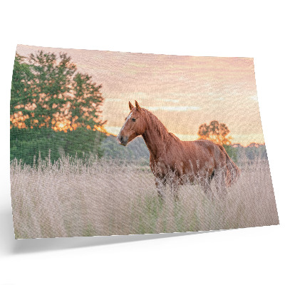 Stampa su tela moderna Cavallo nel prato al mattino, colori pastello, relax