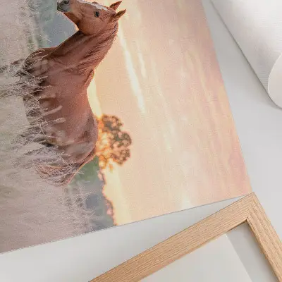 Stampa su tela moderna cavallo in un prato al mattino con colori pastello rilassanti