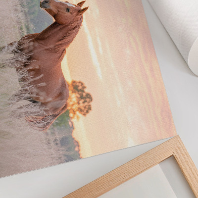 Stampa su tela moderna Cavallo nel prato al mattino, colori pastello, relax