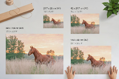 Stampa su tela moderna Cavallo nel prato al mattino, colori pastello, relax