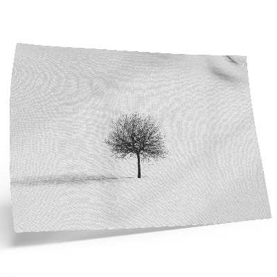 Poster dai colori saturi Motivo minimalista di armonia nel paesaggio invernale con alberi.