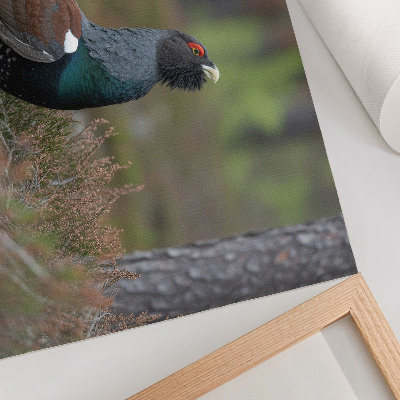 Poster murale di alta qualità Uccelli, colori, foresta, natura, atmosfera pacifica