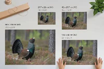 Poster murale di alta qualità con uccelli in una foresta dai colori naturali e atmosfera pacifica