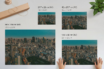 Stampa su tela moderna Vista moderna della città dall'alto, dinamica