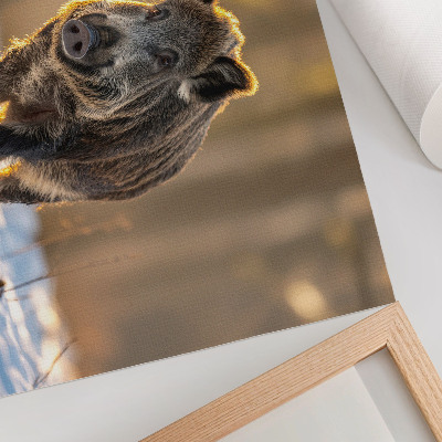 Poster dai colori saturi Un cinghiale selvatico su uno sfondo invernale, circondato dalla luce del sole.