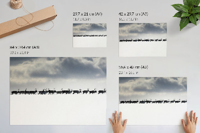 Poster Renne nella neve, silenzio e spazio