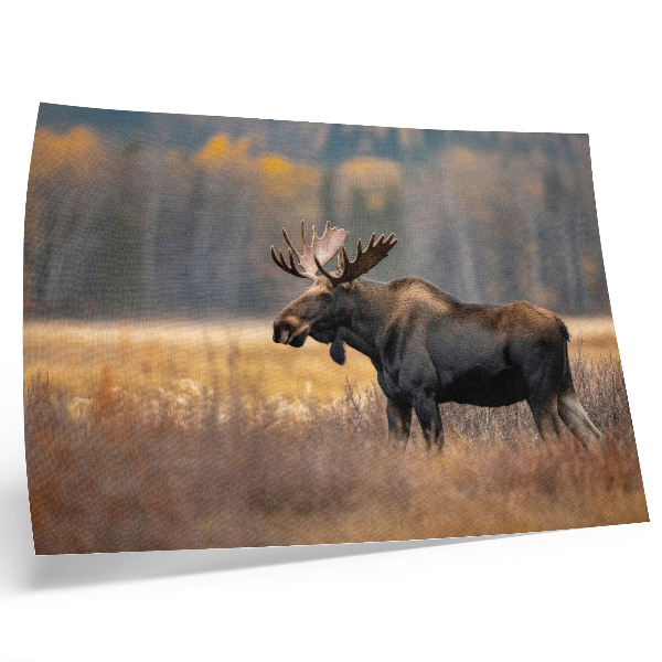 Poster murale di alta qualità paesaggio autunnale dell'alce armonia natura selvaggia