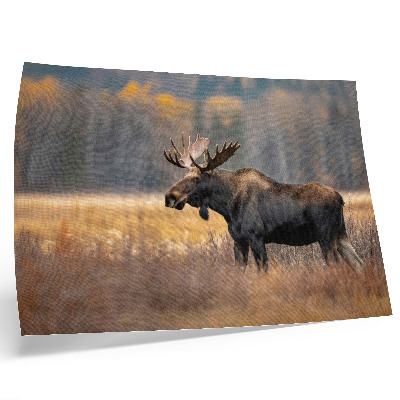 Poster murale di alta qualità paesaggio autunnale dell'alce armonia natura selvaggia