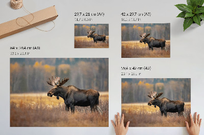 Poster murale di alta qualità paesaggio autunnale dell'alce armonia natura selvaggia