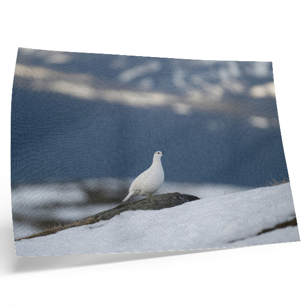 Poster dai colori saturi Uccello nella neve, paesaggio invernale, delicatezza