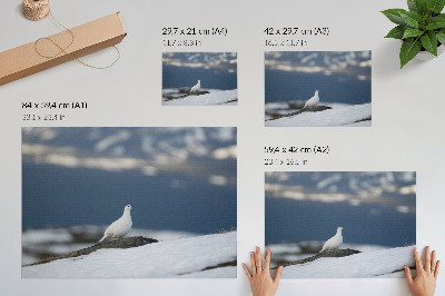 Poster dai colori saturi Uccello nella neve, paesaggio invernale, delicatezza
