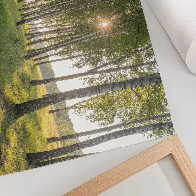 Stampa su tela moderna foresta di betulle con raggi di sole e simmetria verde