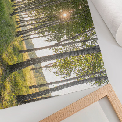 Stampa su tela moderna Foresta di betulle raggi di sole simmetria verde