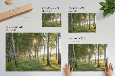 Stampa su tela moderna foresta di betulle con raggi di sole e simmetria verde